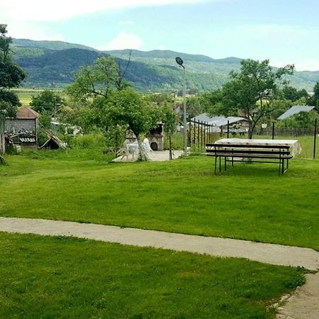Pensiunea Adeluta Apartament Călimăneşti Exterior foto